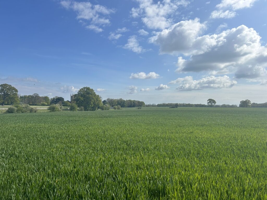 Conington Fen, Conington, Peterborough, Cambridgeshire, PE28 5XQ Property