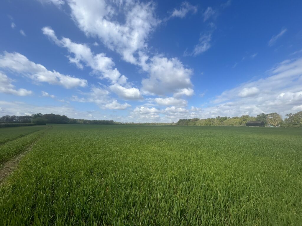 Conington Fen, Conington, Peterborough, Cambridgeshire, PE28 5XQ Property