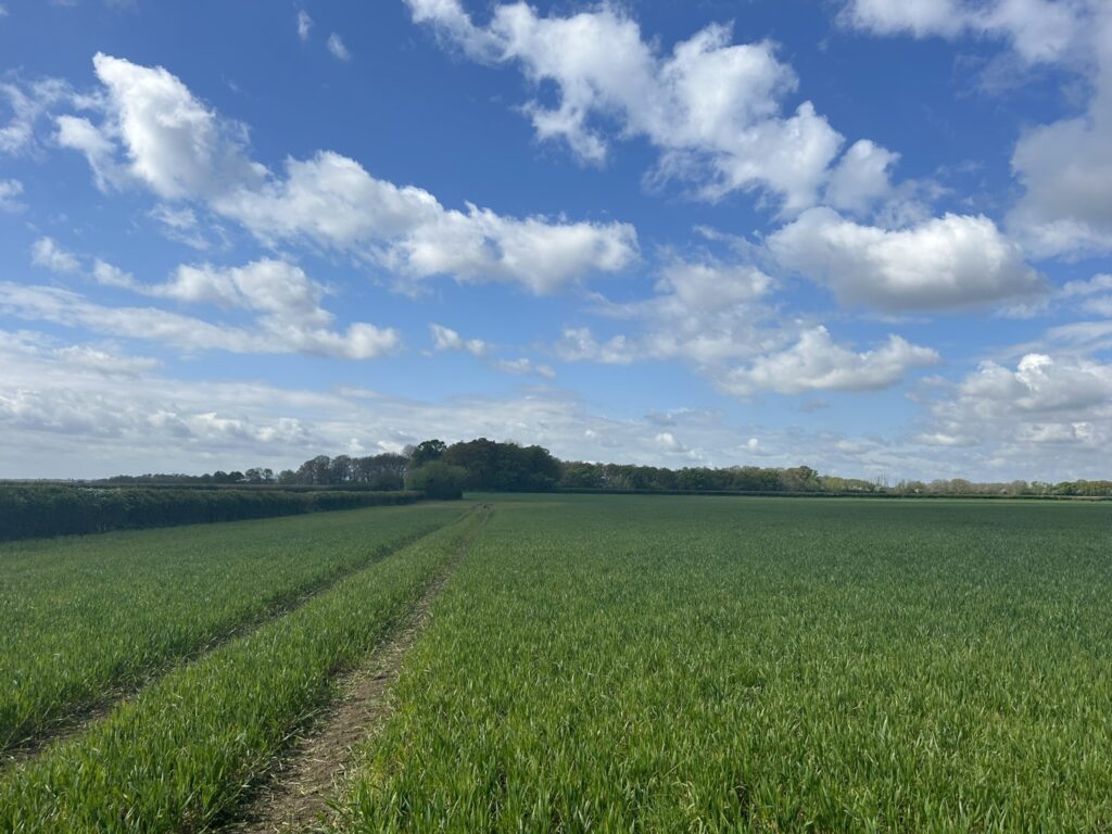 Conington Fen, Conington, Peterborough, Cambridgeshire, PE28 5XQ Property