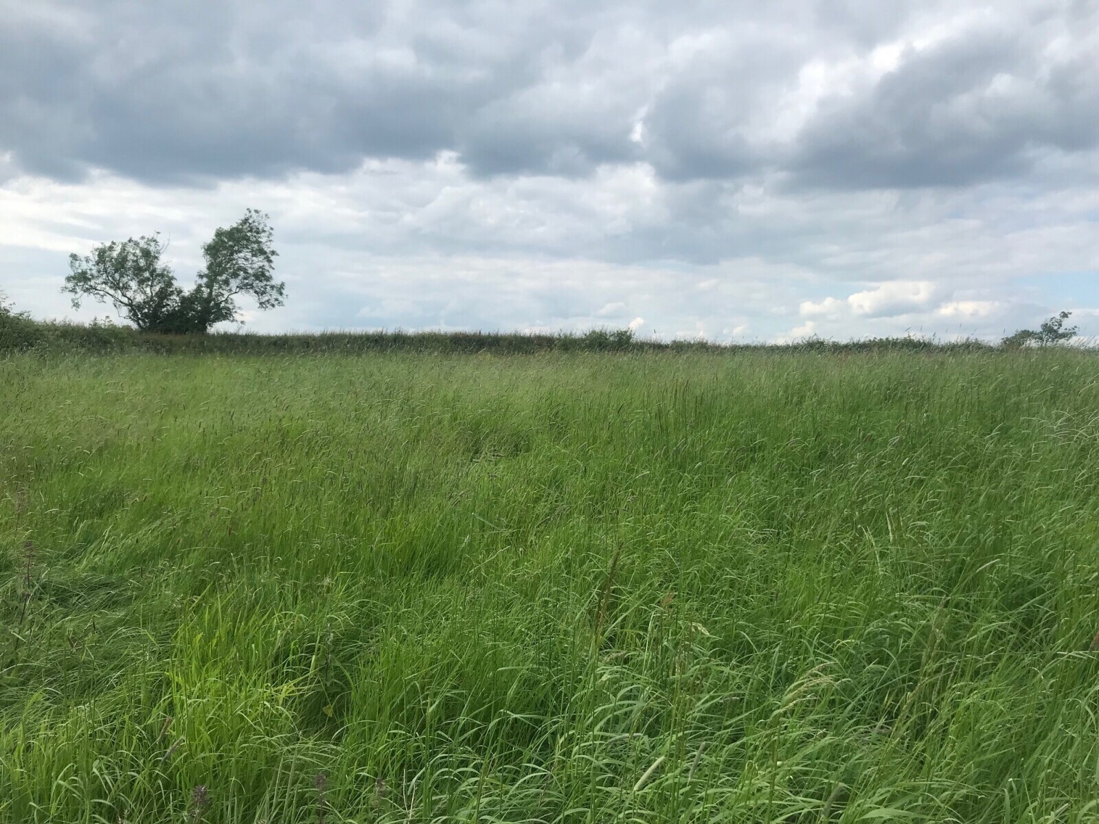 Land On North and South Side, Station Road, Upper Broughton, Melton Mowbray, LE14 3BQ Property