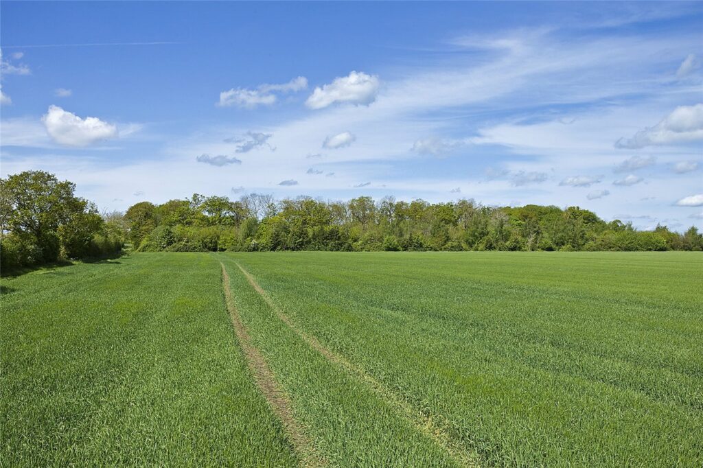 The Chediston Estate, Halesworth, Suffolk, IP19 0AQ Property