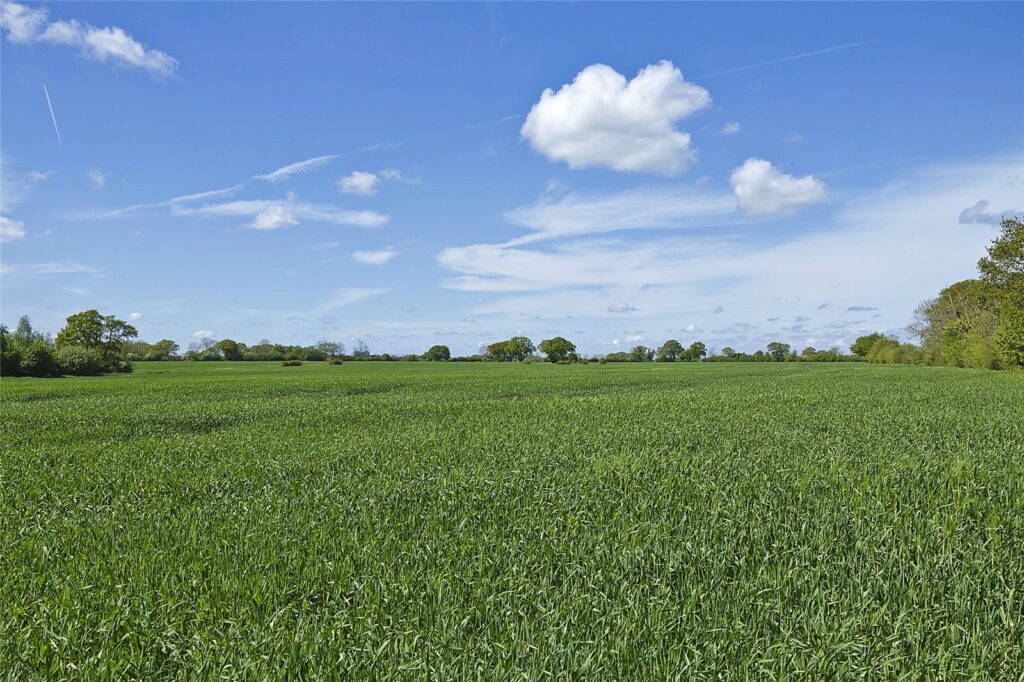 The Chediston Estate, Halesworth, Suffolk, IP19 0AQ Property