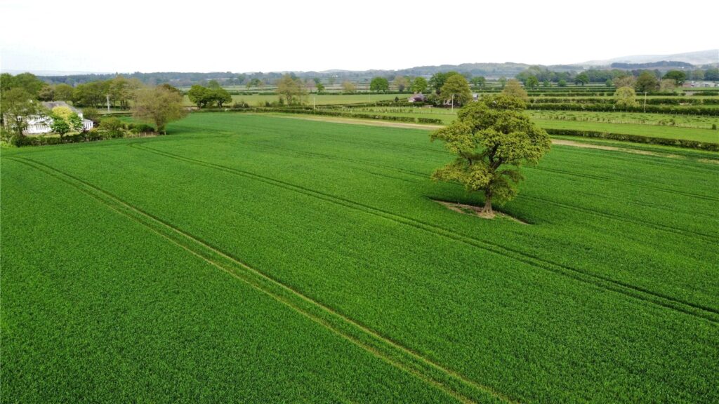 Lot 1 Troutbeck Farm, Heads Nook, Brampton, Cumbria, CA8 9AF Property