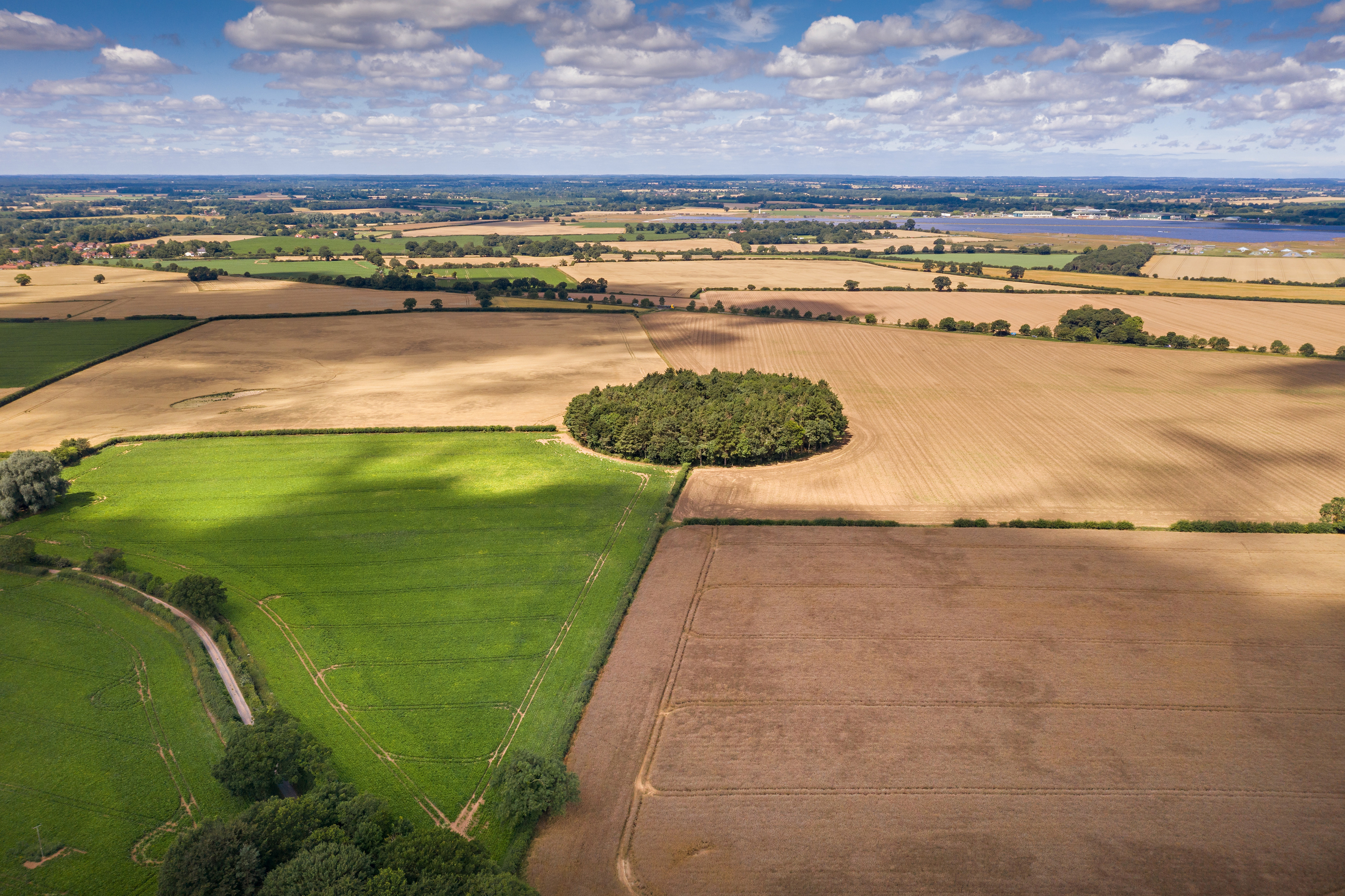 Hall Farm - For Sale as a whole or in five lots - Property