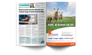 Display Example - Media Centre