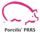 porcillis2