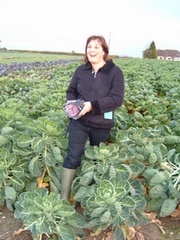 sally cuts cabbage