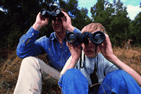 bird watching