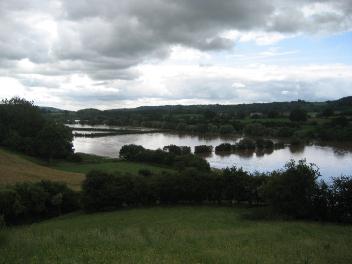 potato field flooded