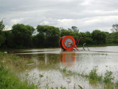 carrots in a flood