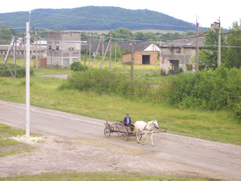 Traditional transport – fast being outmoded 