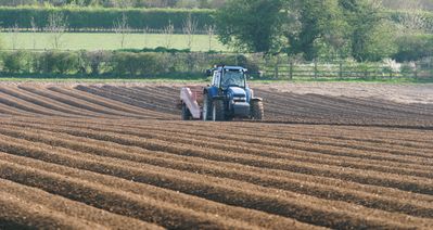 Potato planting -FWI