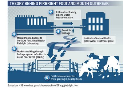 Pirbright foot and mouth theory