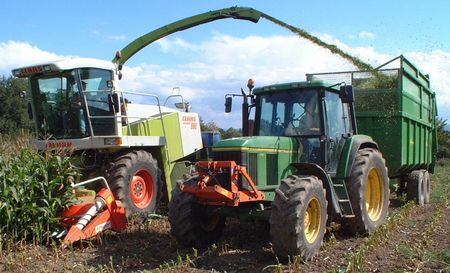 Silaging
