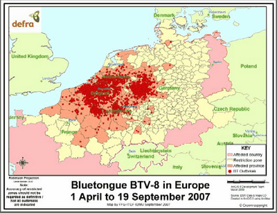 Bluetongue Europe map