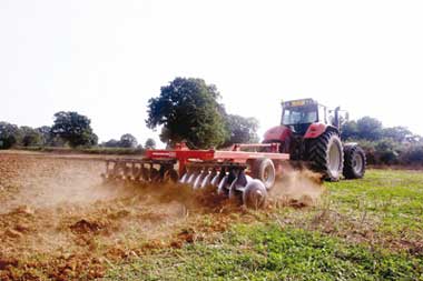 Cultivation