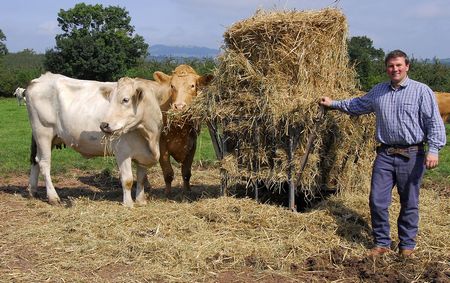 Switch to stores improves margins - Farmers Weekly