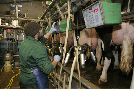 Dairy-parlour