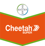 Cheetah_brand_tag2.gif