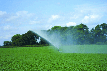 Irrigating potatoes