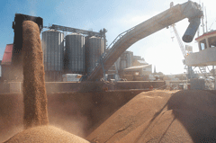 Grainship