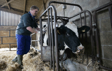 BLUETONGUE VACCINE 01 a