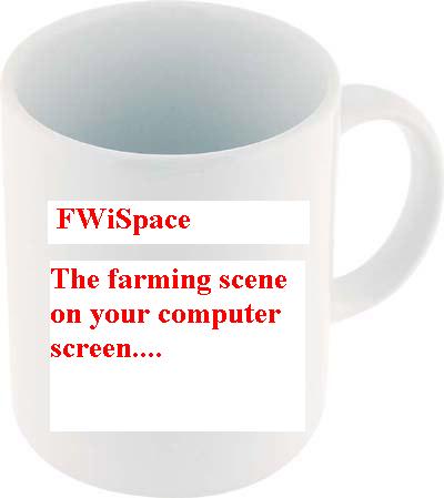 Fwispace mug