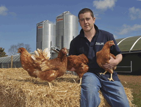James Maclean chickens