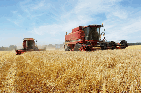 Harvest