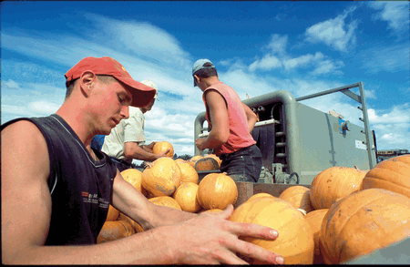 Migrants migrant workers