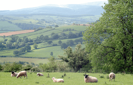 wales welsh farm generic