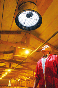 insulation1.gif