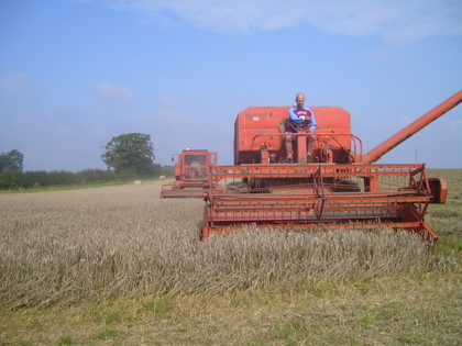 Laverda combines UGC