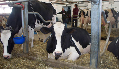 Canadian dairymen a force for change - Farmers Weekly