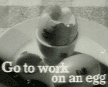 go-to-work-on-an-egg