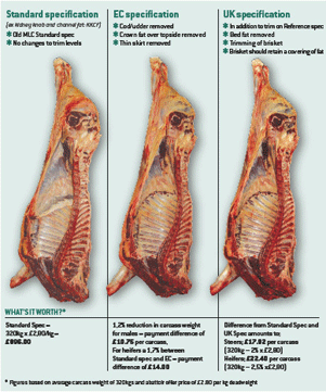 carcass specs