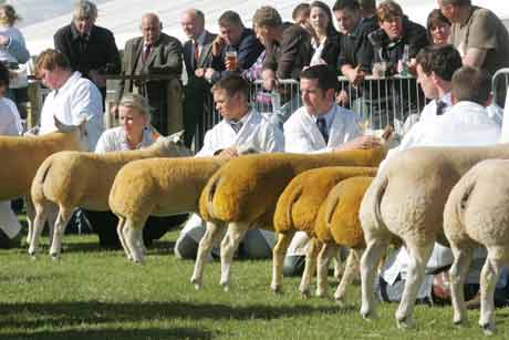 Royal-Highland-Show-3
