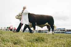 Royal-Highland-Show-4