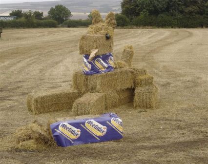 weetabix sculpture