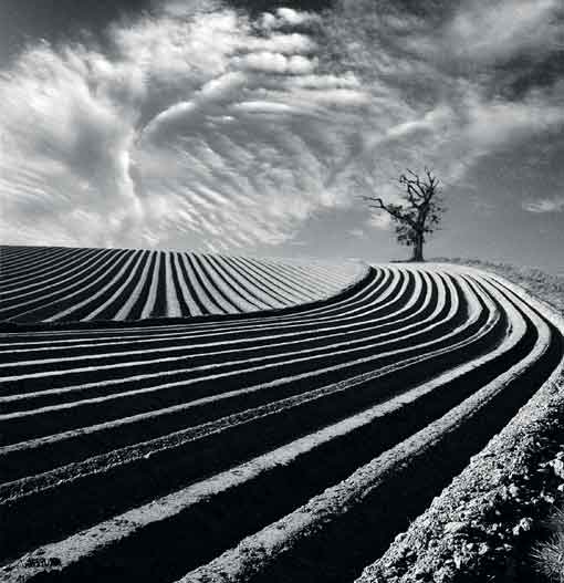 photo-comp-2010-arable-winner