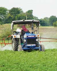 india-spraying-potatoes