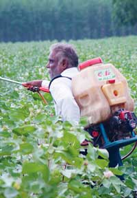 india-crop-spraying