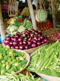 india-staple-food