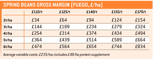 spring-beans-gross-margins-2010