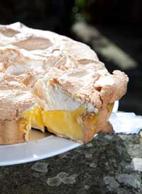 Lemon-and-Meringue-Pie