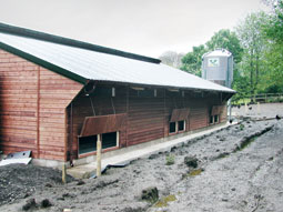 poultry housing