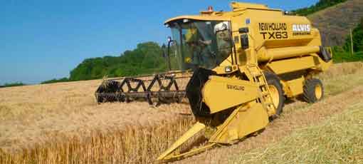 alvis-bros-cutting-barley-at-loxton-3