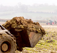 shifting-muck-manure