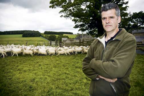 john-blakey-and-sheep