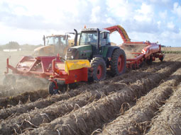 Grimme 3 row potato harvester